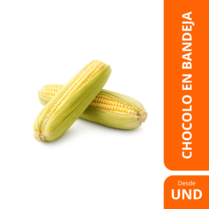 chocolo bandeja 500g