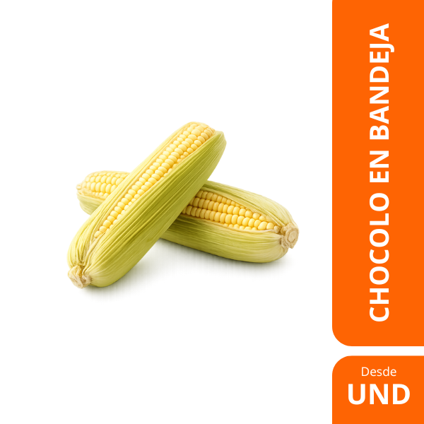 chocolo bandeja 500g chocolo bandeja 500g