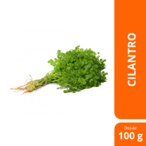 cilantro 500g